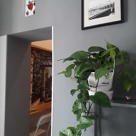 Materdei Terrace 나폴리